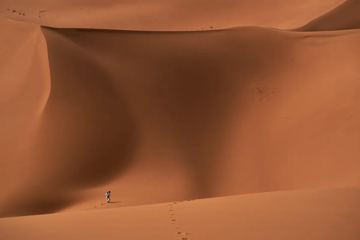 Common Mistakes in Dune Restoration Projects (and How to Avoid Them)