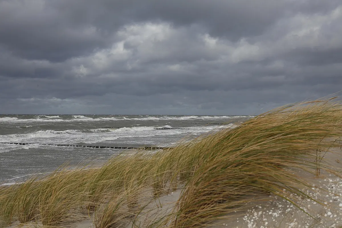 Why Sand Dunes Flood: Understanding Coastal Defence and Natural Buffers